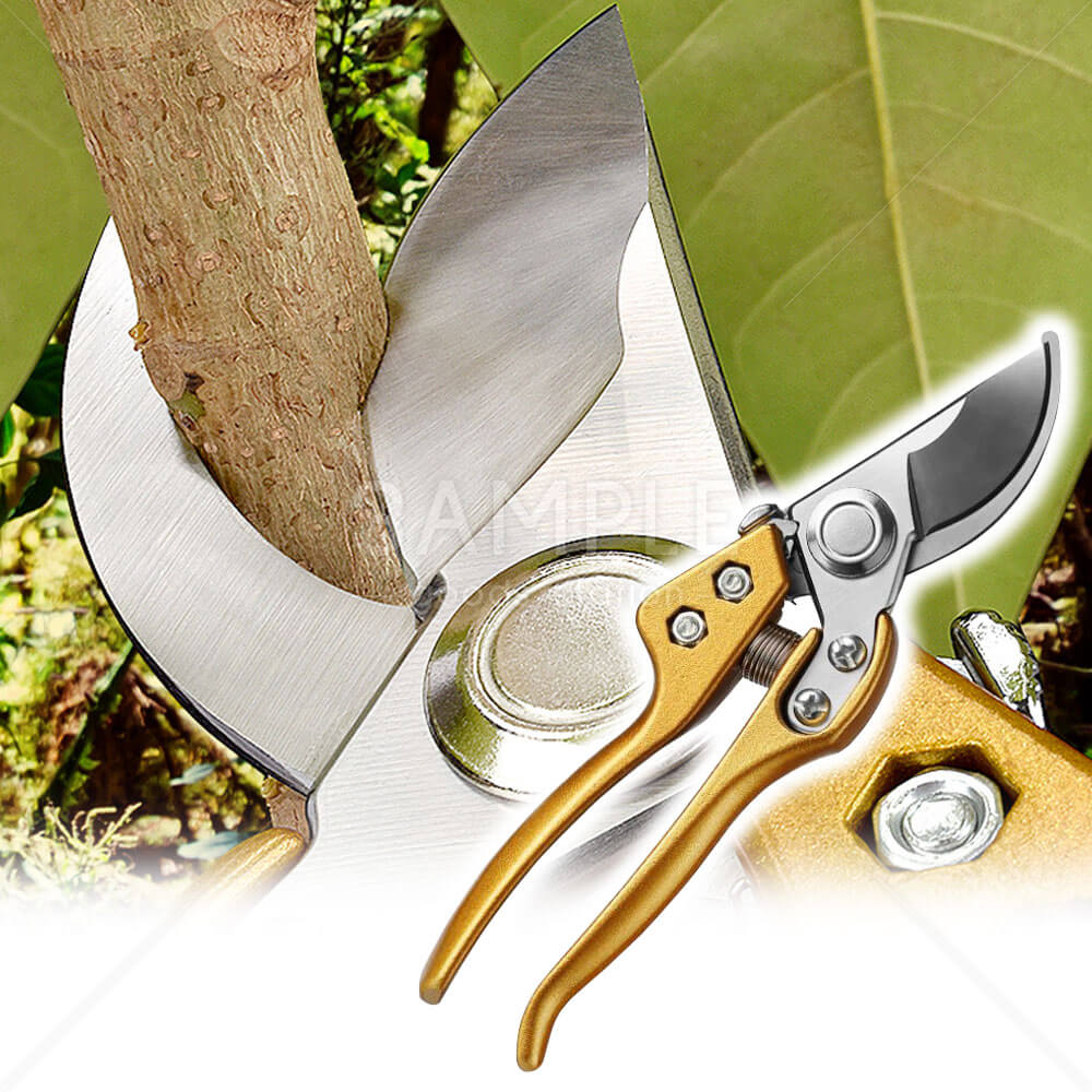 剪定ばさみ 枝切りはさみ 盆栽 生花 ワイヤー 高強度 鋭い切れ味 持ちやすい 防錆性 酸化防止コーティング