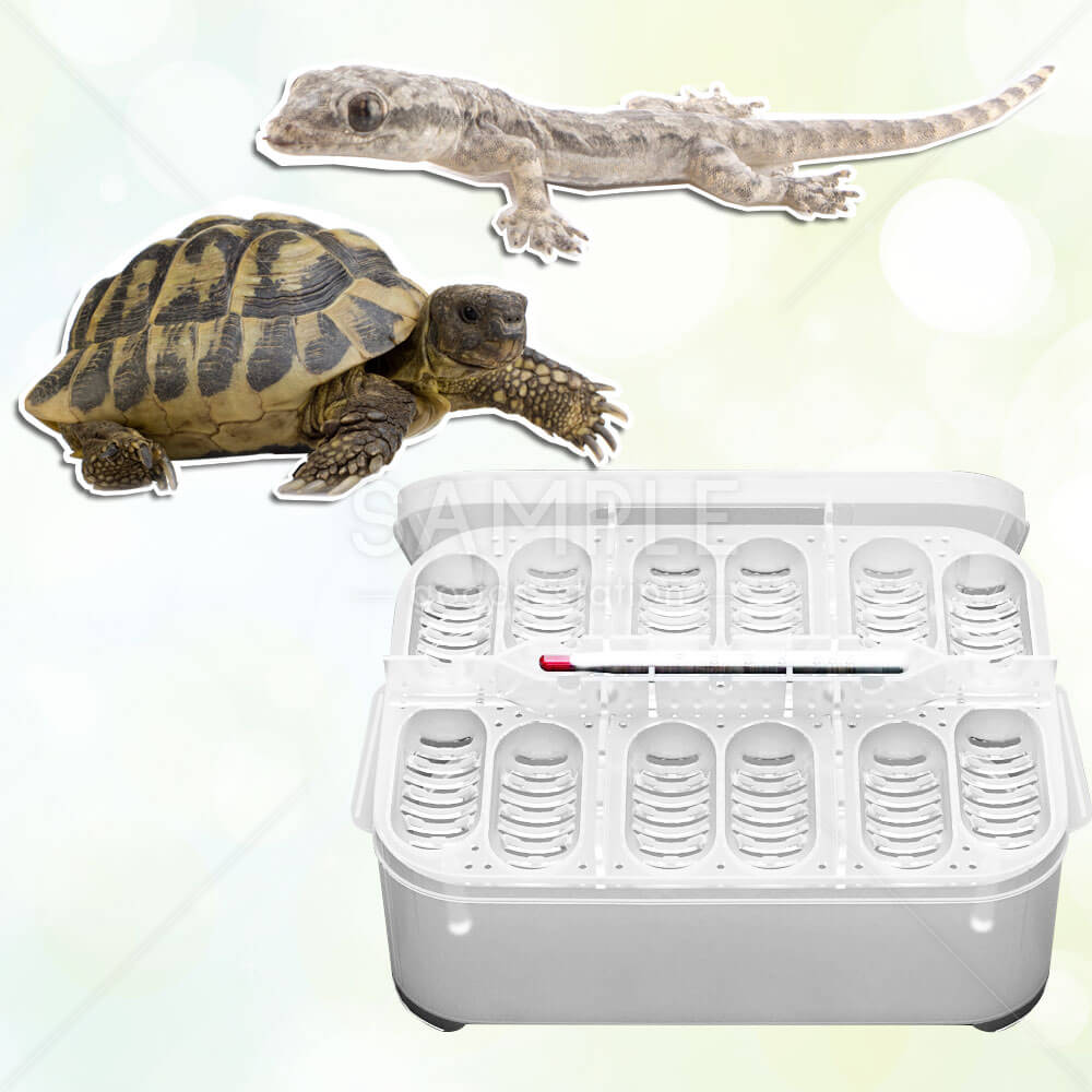 爬虫類 飼育ケース 孵化器 爬虫類孵卵器 インキュベーションボックス 12匹 昆虫 繁殖用 温度計付き